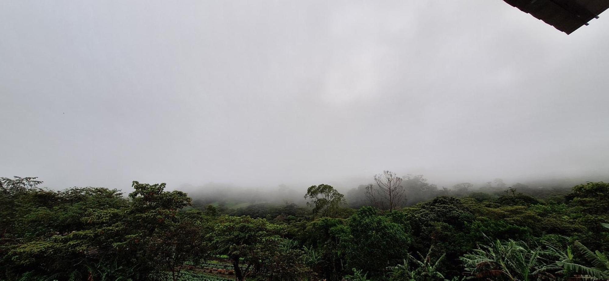 Monteverde Cecropia Paradise 객실 사진