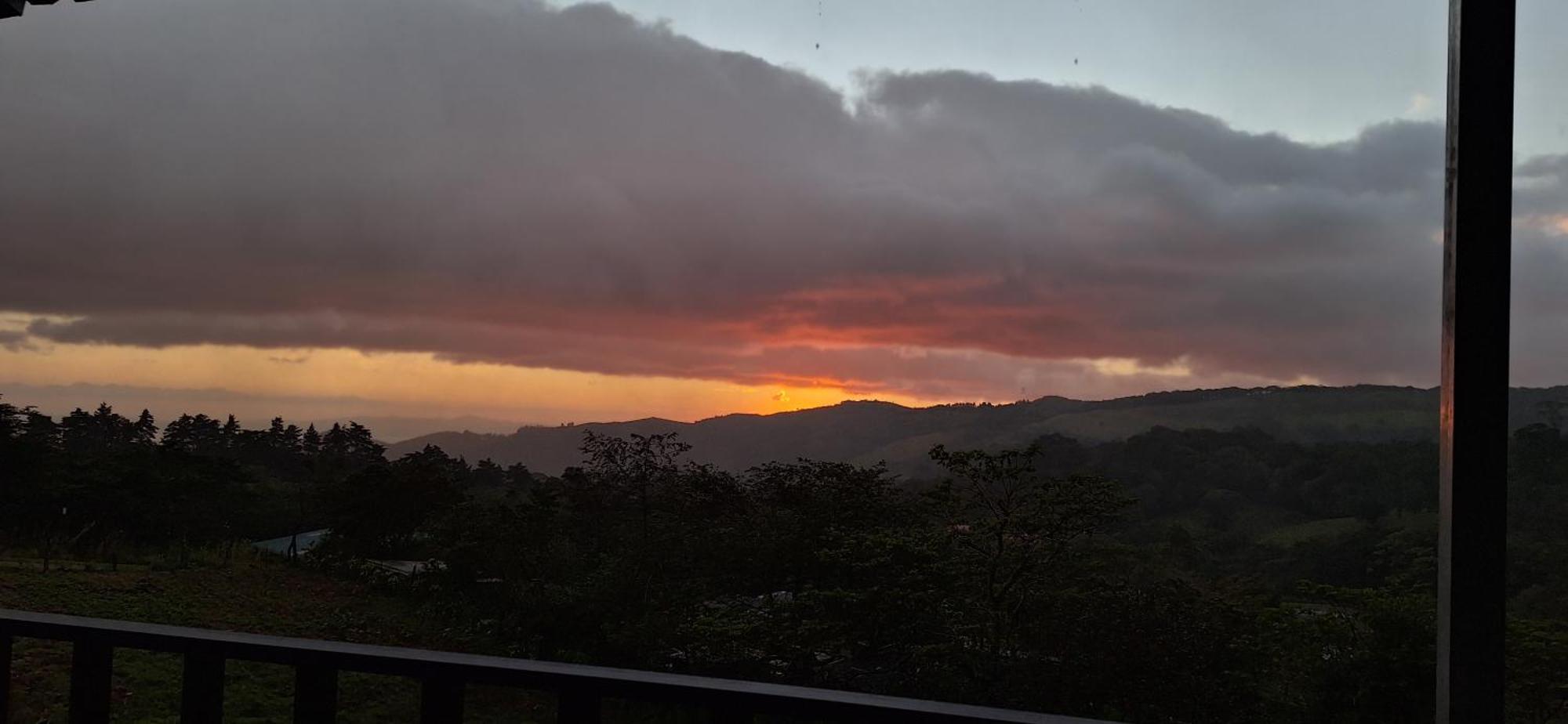 Monteverde Cecropia Paradise 객실 사진