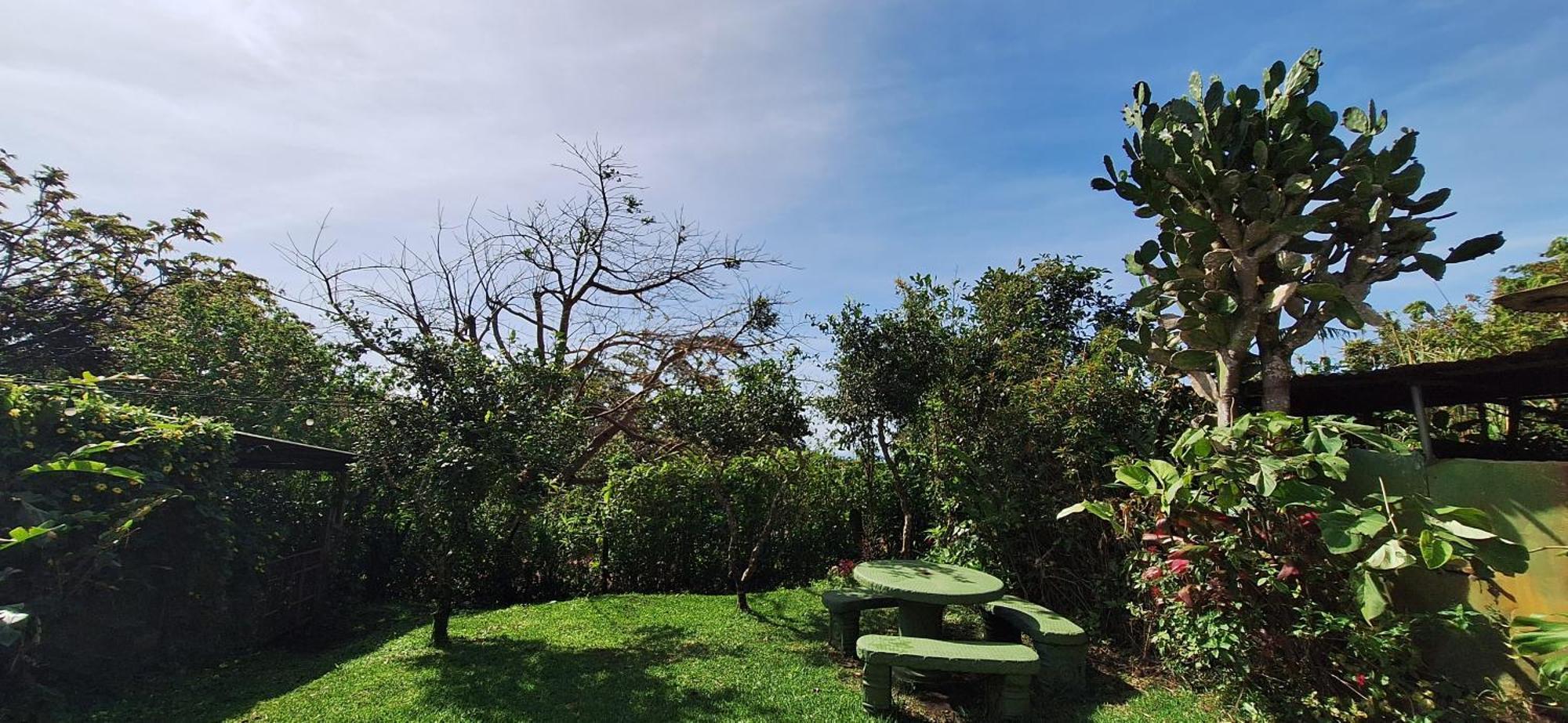 Monteverde Cecropia Paradise 객실 사진