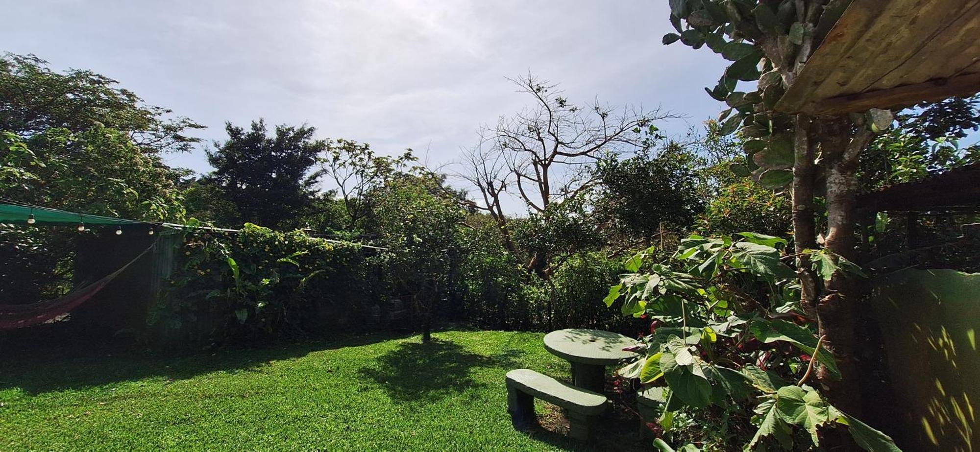 Monteverde Cecropia Paradise 객실 사진
